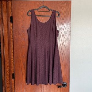 NWT Loft Brand Dress